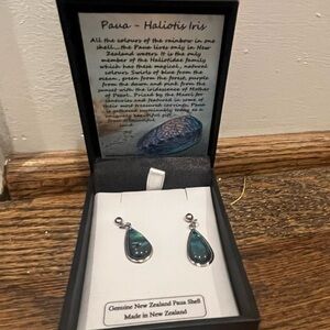 Sterling silver and New Zealand Paua Shell Earrings